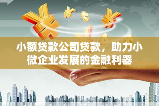 都匀小额贷款公司贷款，助力小微企业发展的金融利器