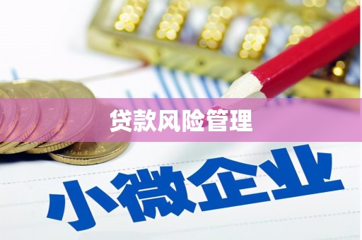 都匀贷款风险管理