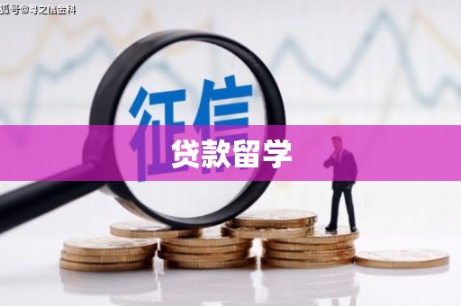都匀贷款留学