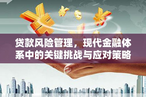 都匀贷款风险管理，现代金融体系中的关键挑战与应对策略